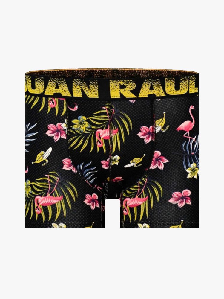 Ανδρικό Μποξεράκι Βαμβακερό με Σχέδια Flamingo Tropic JUAN RAUL